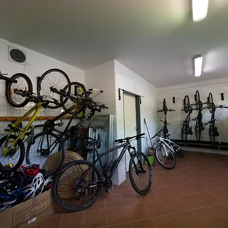 Guest house Daviduv Mlyn 3*