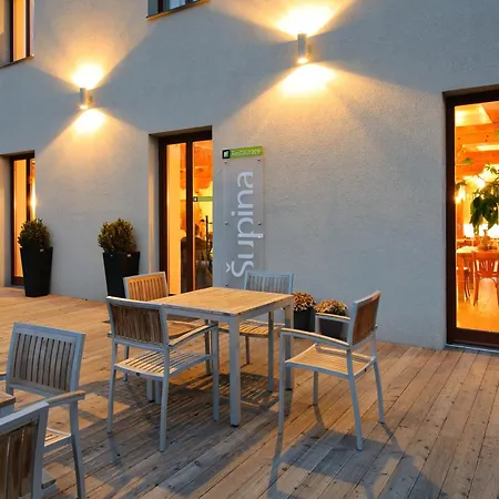 Daviduv Mlyn Guest house