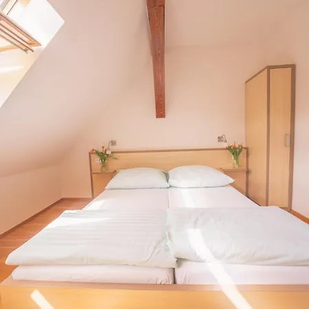 Guest house Daviduv Mlyn Stare Techanovice