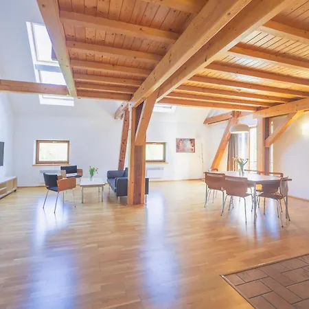 Guest house Daviduv Mlyn