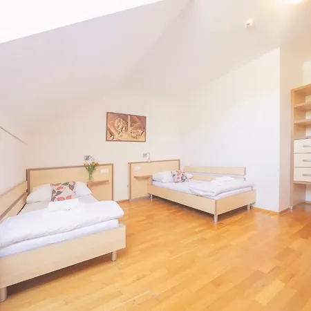 Daviduv Mlyn Guest house 3*