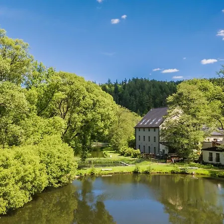 Daviduv Mlyn Guest house Stare Techanovice