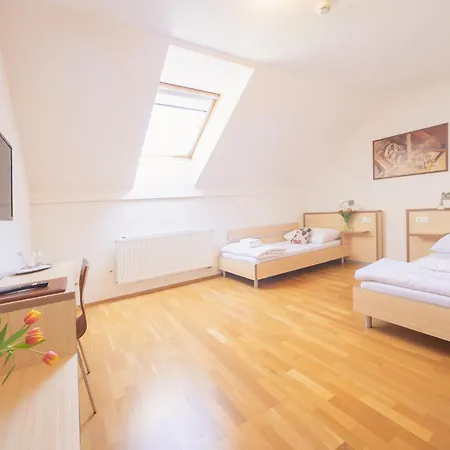 Guest house Daviduv Mlyn