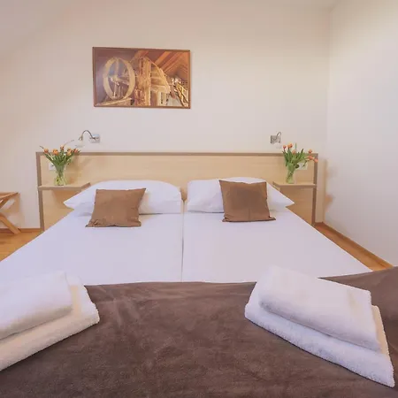 Guest house Daviduv Mlyn 3*