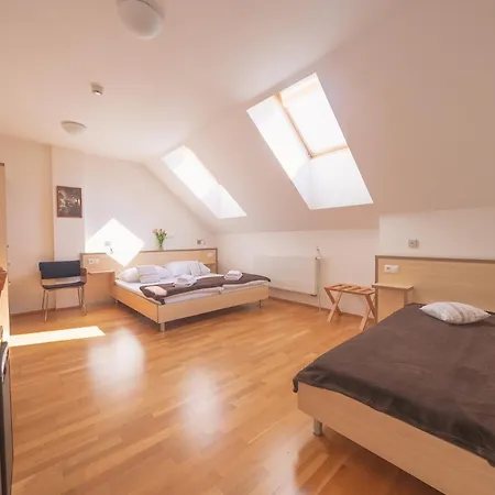Guest house Daviduv Mlyn Stare Techanovice