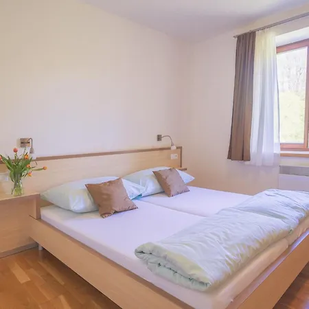 Pensionat Daviduv Mlyn 3*