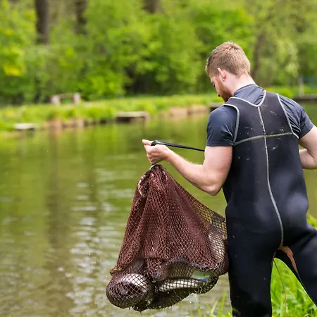 Daviduv Mlyn 3* Staré Těchanovice