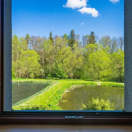 Guest house Daviduv Mlyn 3*