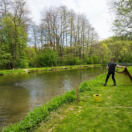 Daviduv Mlyn Guest house 3*