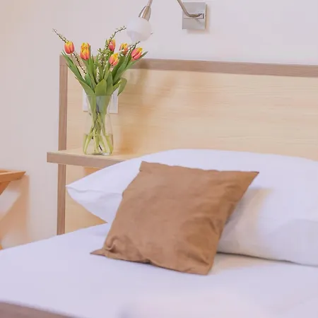 Guest house Daviduv Mlyn 3*