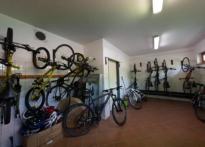 Gasthof Daviduv Mlyn 3*