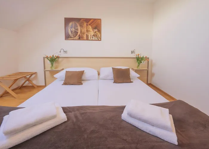Gasthof Daviduv Mlyn 3*
