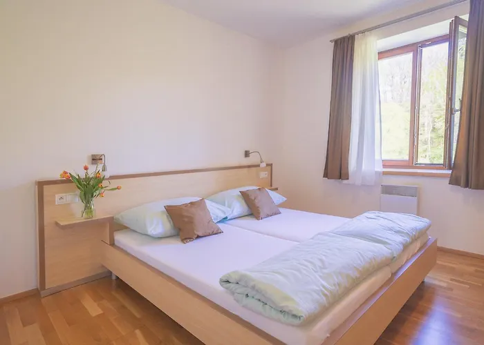 Maison d'hôtes Daviduv Mlyn 3*
