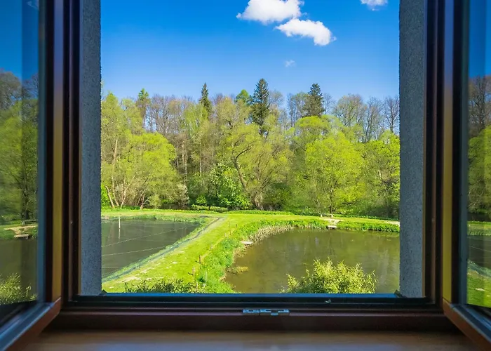 Gasthof Daviduv Mlyn 3*